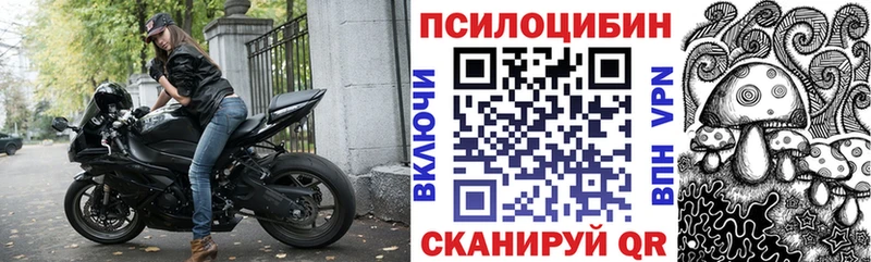 где продают   Бузулук  блэк спрут   Галлюциногенные грибы MAGIC MUSHROOMS 